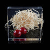 A clear acrylic sheet contains a pile of light brown shredded material and a red cherry fruit.