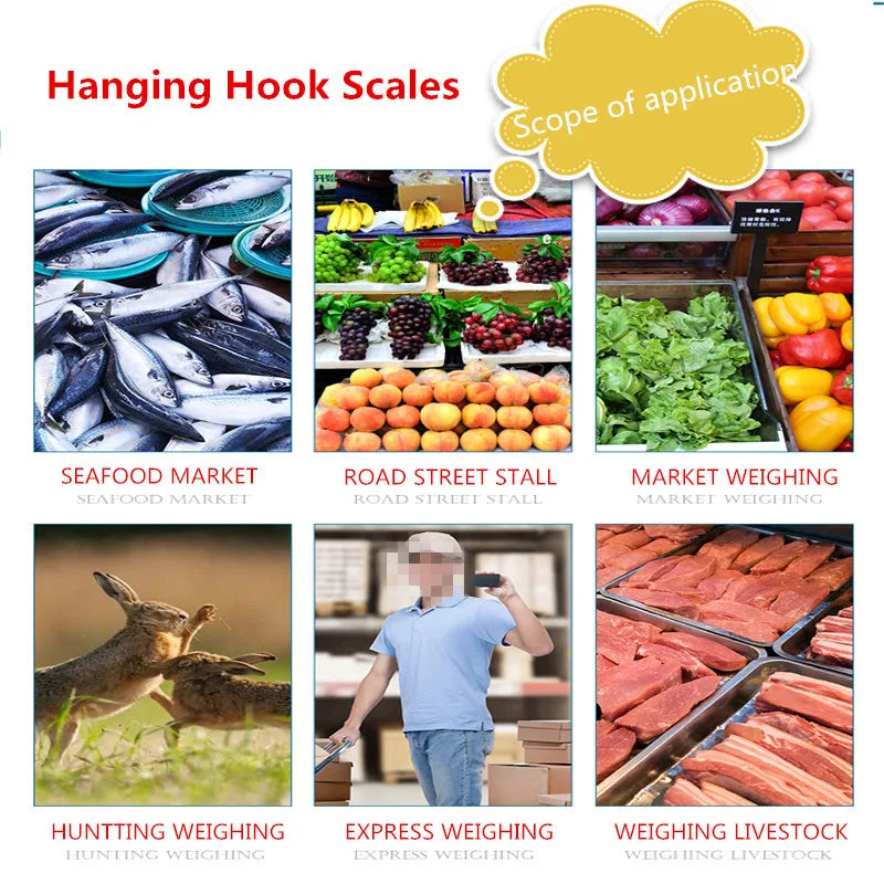 A collection of various weighing scales used for seafood, livestock, and market goods.