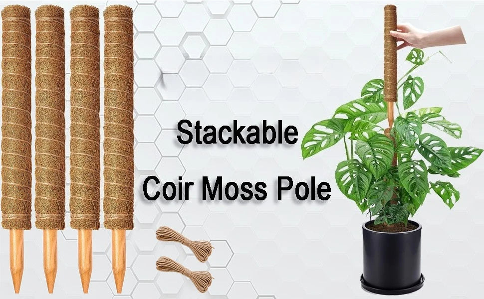 Stackable Coir Moss Pole natural plant support poles shown with a potted green plant.