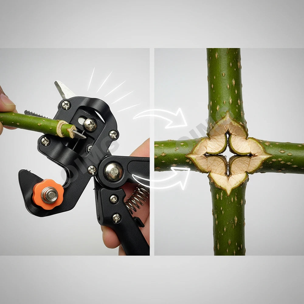A professional grafting and pruning set is shown, demonstrating the process of joining a branch to a stem.