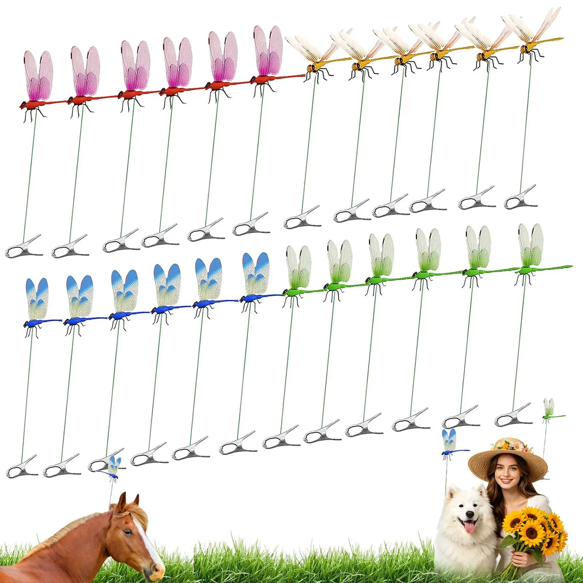 A line of dragonfly clips in various colors and sizes displayed against a green background with a horse and a dog.