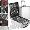 A professional mechanic tool kit with various hand tools and sockets stored in a silver trolley case.