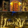 Outdoor string lights illuminate a garden path and trees at dusk.