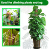 Stackable natural plant support poles used for climbing plants rooting