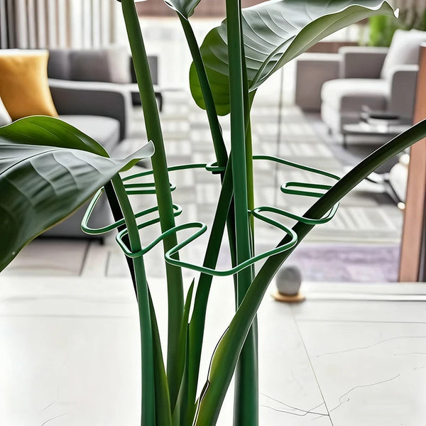A close-up of a large green Monstera plant with a metal support frame in a modern indoor setting.