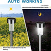 A solar powered outdoor garden lantern converts sunlight into illumination at night.