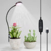 An adjustable USB LED grow light illuminates a potted succulent plant.