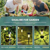 A set of solar garden path lights featuring LED luminaires and light effect for outdoor landscaping.