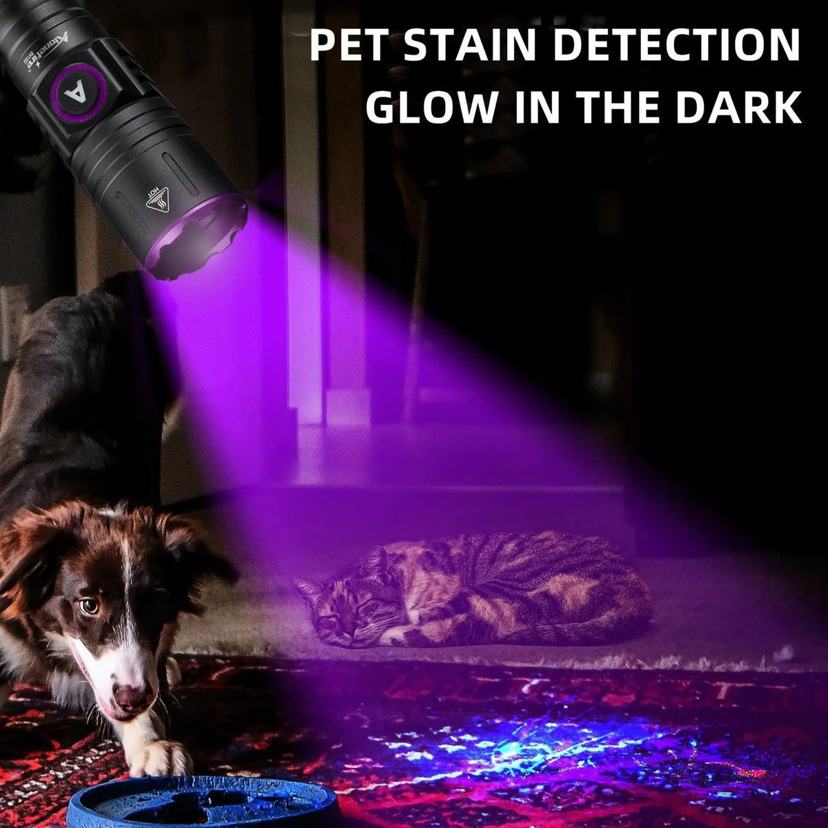 Una linterna UV morada ilumina un brillo de detección de manchas en una alfombra, revelando manchas ocultas en la oscuridad.