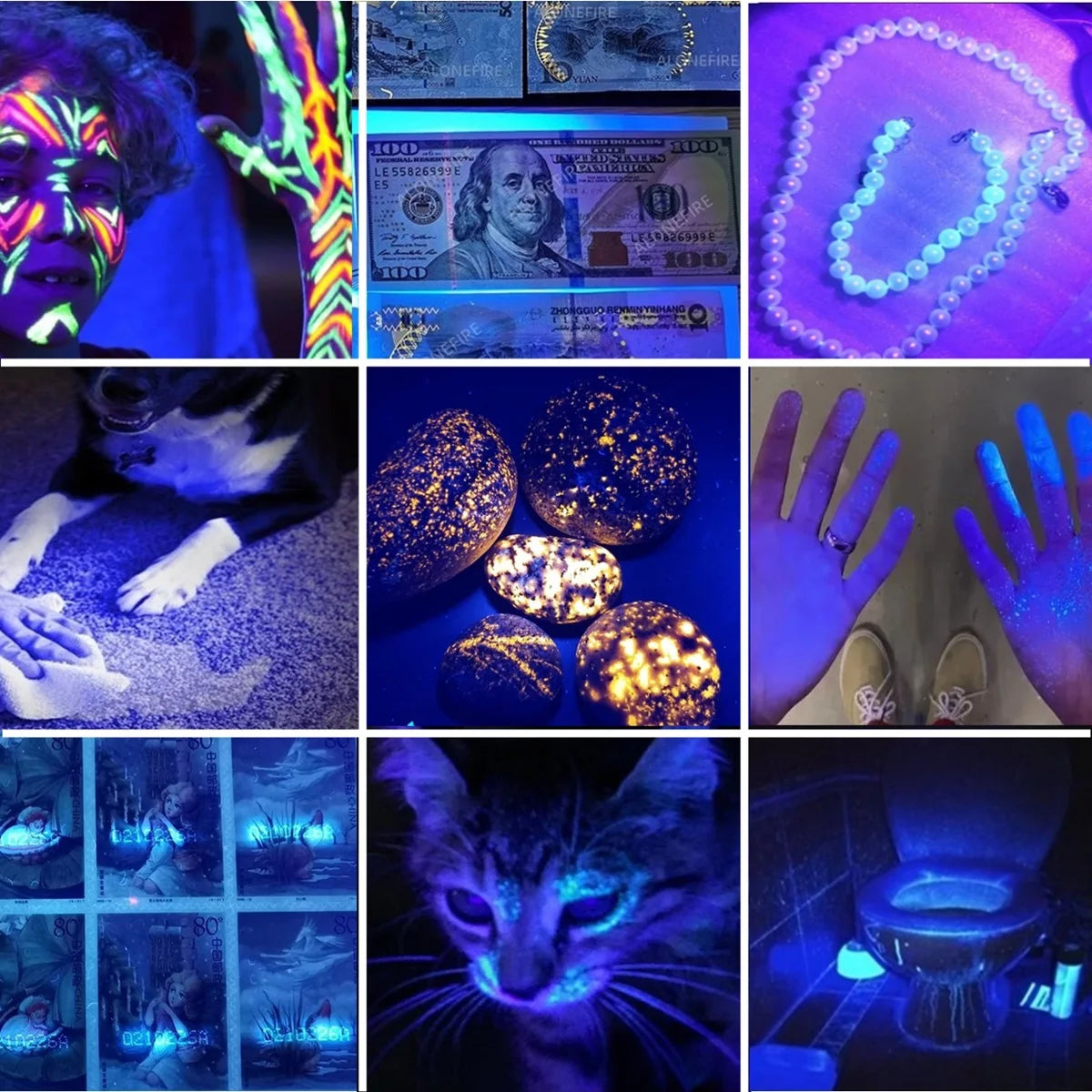 Colección de imágenes mostrando varios usos de una linterna UV para detectar orina de mascotas, escorpiones, manchas y otros 