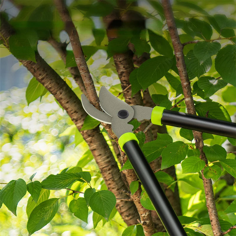 A pair of black pruning shears with lime green handles are visible on a tree branch surrounded by green leaves.