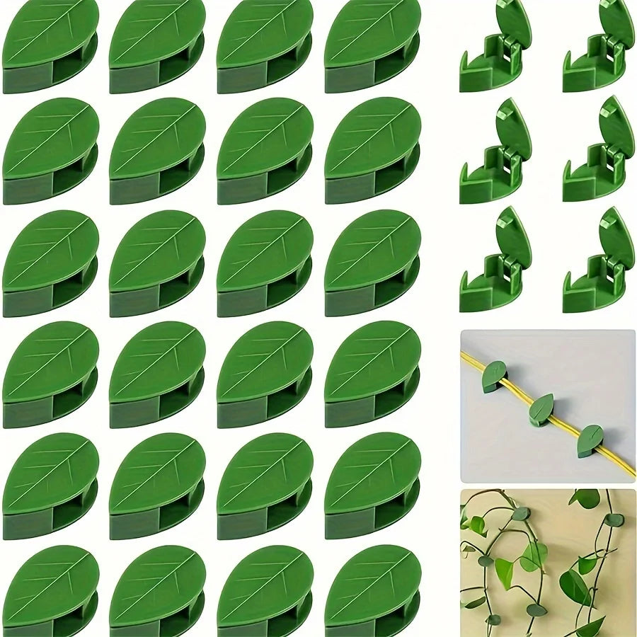 A set of green plant wall climbing clips shown in various angles and close-ups.