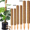 Stackable natural plant support poles in brown fiber for indoor plants