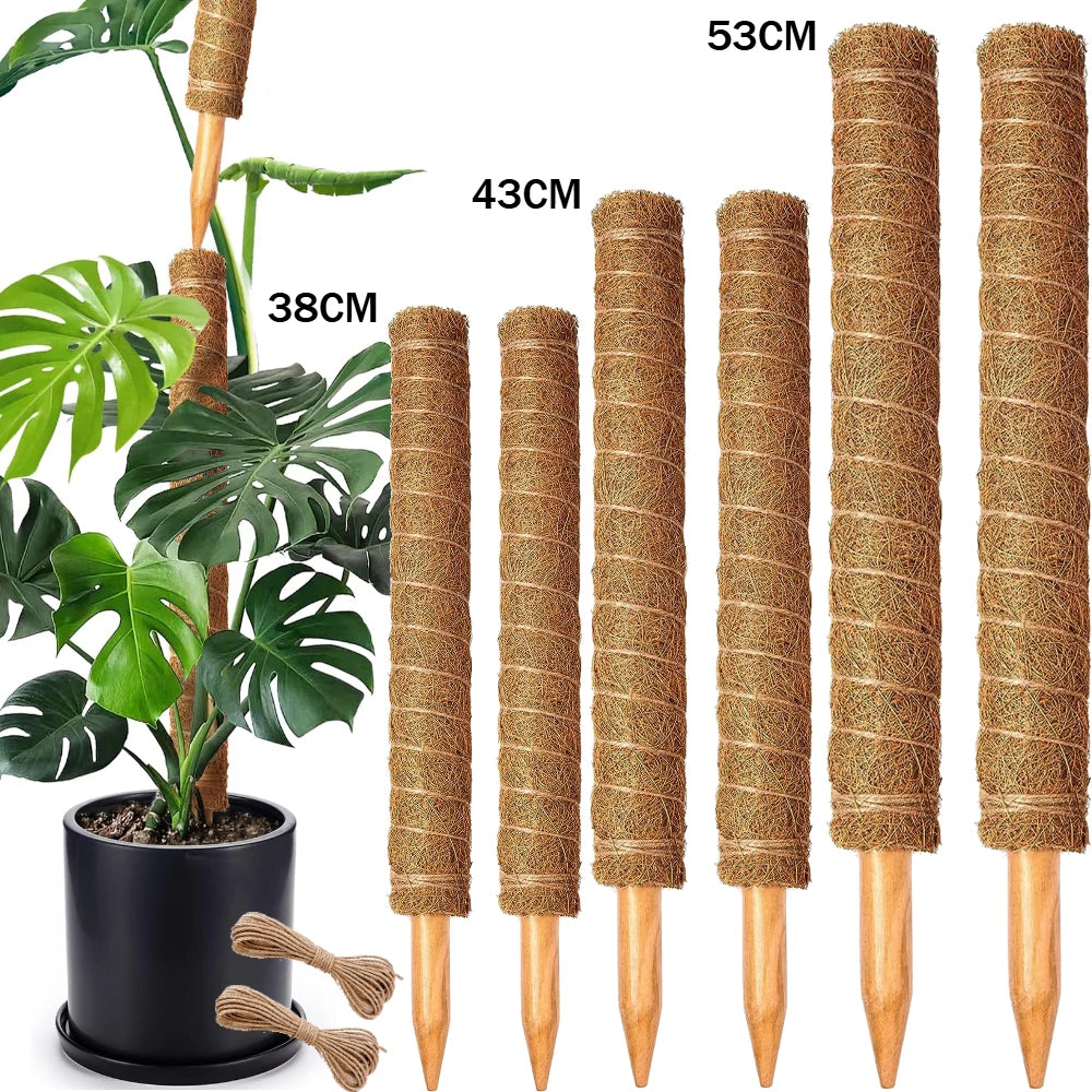 Stackable natural plant support poles in brown fiber for indoor plants