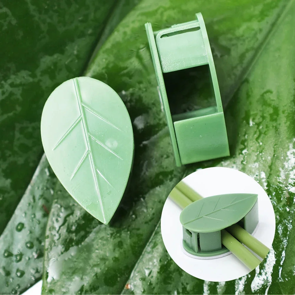 Primer plano de una pinza de hoja verde autoadhesiva para soporte de plantas, sobre una hoja verde mojada.