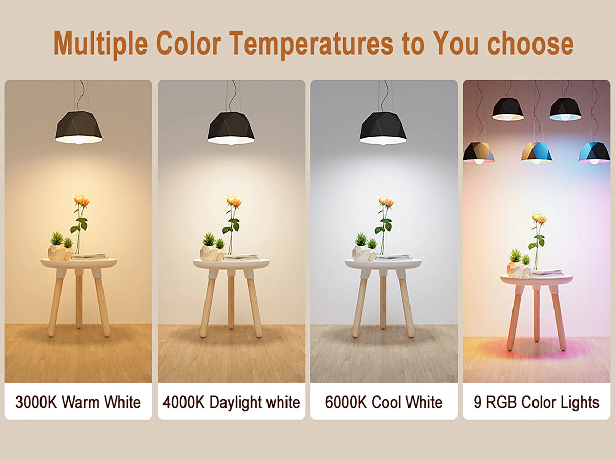 Bombillas LED de múltiples colores mostradas en diversas situaciones de iluminación.