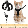 A small orange tabby kitten wearing a black reflective mesh harness and leash set.