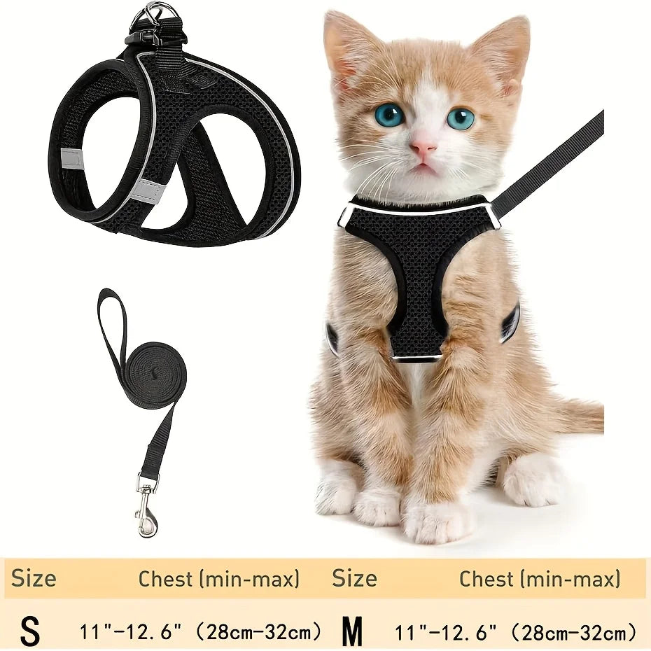 A small orange tabby kitten wearing a black reflective mesh harness and leash set.