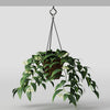 Une plante verte en pot suspendue à un crochet métallique sur un fond gris clair.
