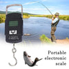 A portable electronic fishing scale with a long rod is shown next to a fish.