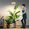 Una mujer riega una planta tropical grande en maceta con una regadera blanca bajo una lámpara de cultivo LED de espectro comp