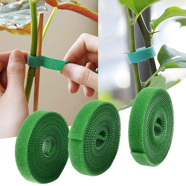 Green natural nylon garden twine plant ties shown in use and rolled forms