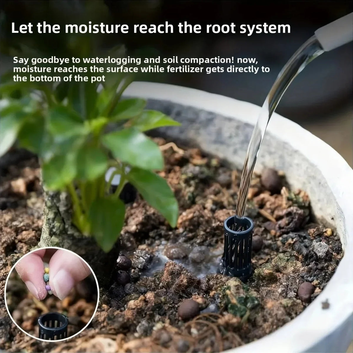 A hand is pouring water into a potted plant, demonstrating how moisture reaches the root system.