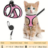 A small orange tabby kitten wearing a pink reflective mesh harness and black leash.