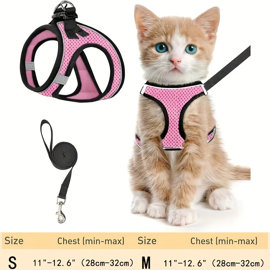 A small orange tabby kitten wearing a pink reflective mesh harness and black leash.