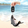 A hand holds a digital fishing scale with a fish on the hook over a beach and ocean.