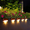 Solar LED outdoor lights illuminating a garden bed with pink flowers at night.
