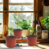 Two terracotta and pink plastic nursery pots with soil on a wooden surface near a window.