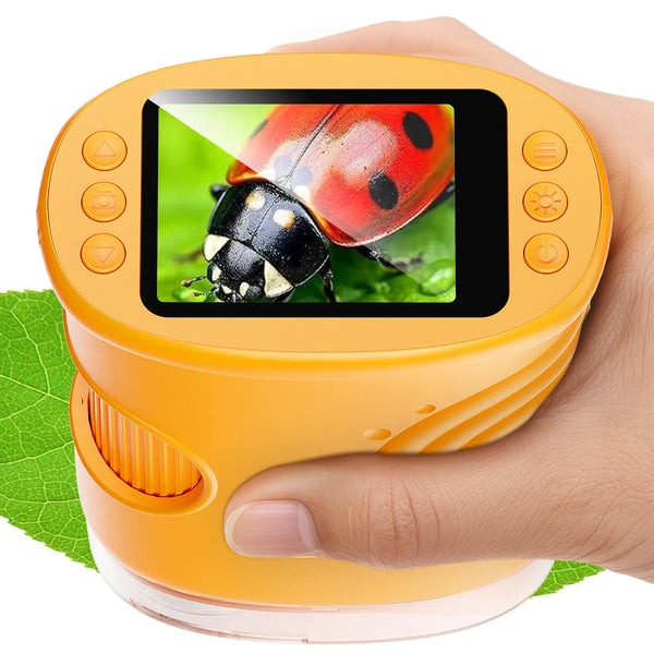 A hand holds an orange digital handheld microscope with a bright red ladybug visible through the lens.