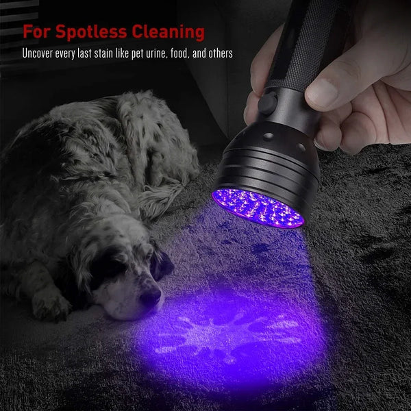 A hand holds a UV blacklight flashlight illuminating a pet stain on a dark surface.