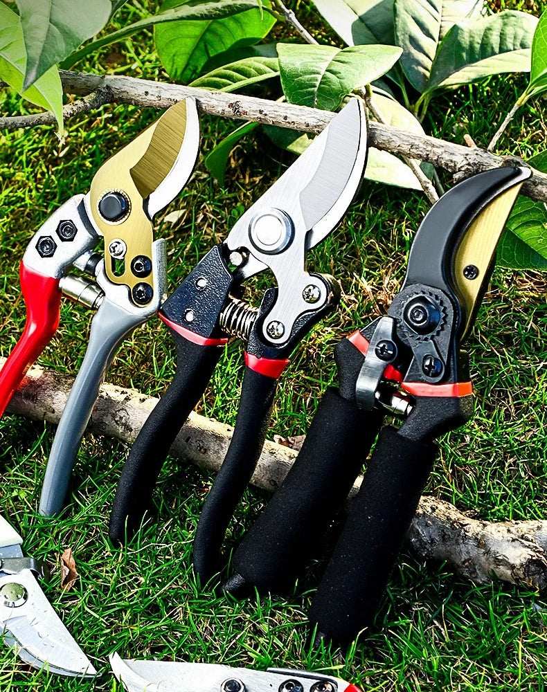 A collection of professional metal pruning shears and pliers lying on green grass next to foliage.