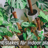 Stackable natural plant support poles used for indoor plants