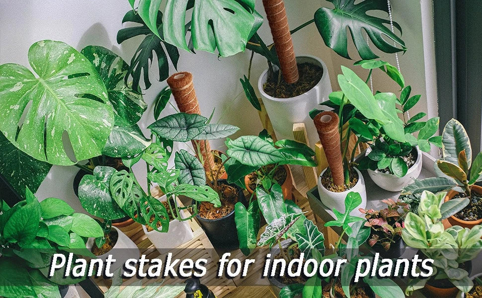 Stackable natural plant support poles used for indoor plants