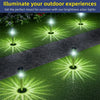 Brightness solar garden path lights illuminating a green lawn and paved walkway at night