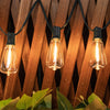 Three Edison-style light bulbs hang from a dark cord against a wooden lattice background.