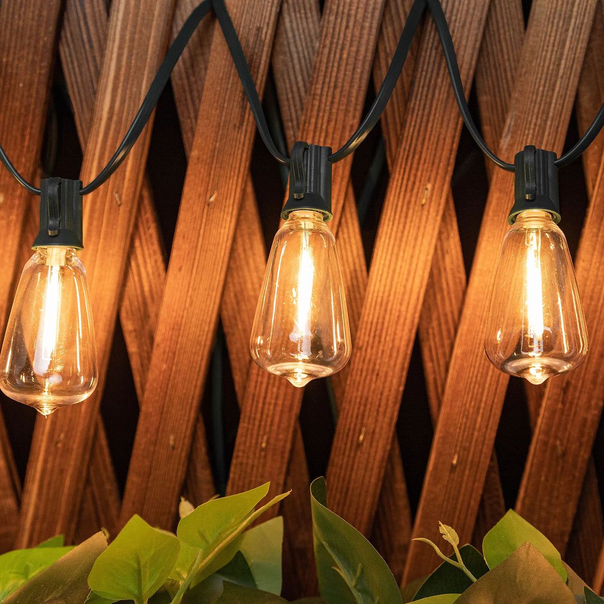 Three Edison-style light bulbs hang from a dark cord against a wooden lattice background.
