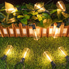 Outdoor string lights illuminating a lush green lawn and foliage at night.
