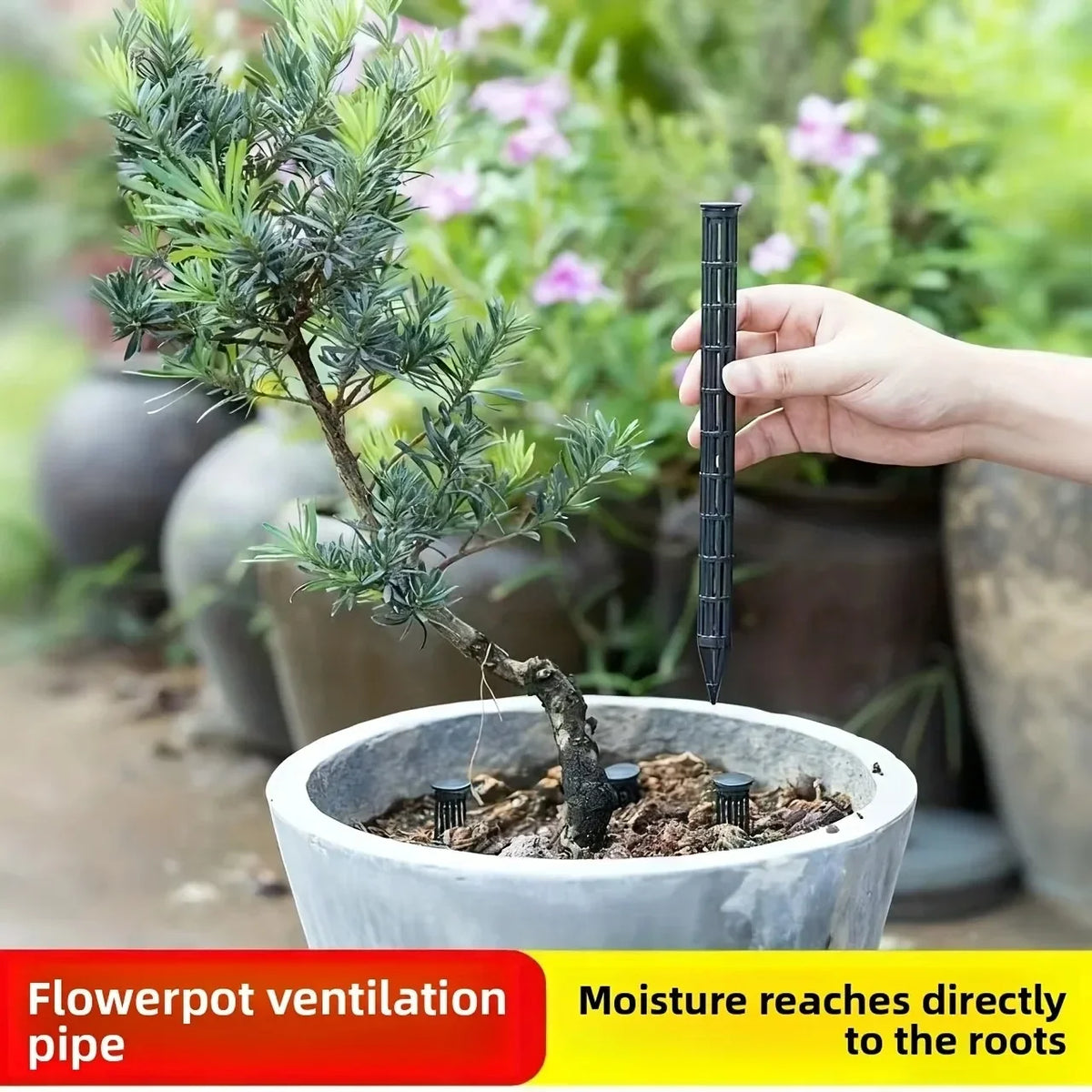 A hand holds a black plant aeration tube inserted into the soil of a white pot for flowerpot ventilation.