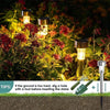 Solar powered outdoor pathway lights illuminating red foliage in a garden setting.