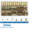 A plastic tray containing various precision rivet nuts and threaded rivets in different sizes and finishes.