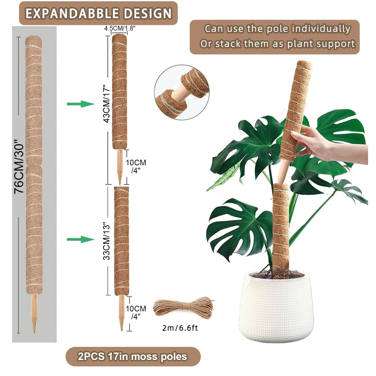 Two 17-inch moss poles used as expandable plant support for tropical leaves.