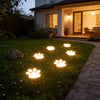 A row of glowing paw print lights illuminates a pathway in a grassy yard at dusk.