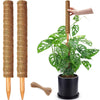 Stackable natural plant support poles with a large green Monstera plant in a black pot