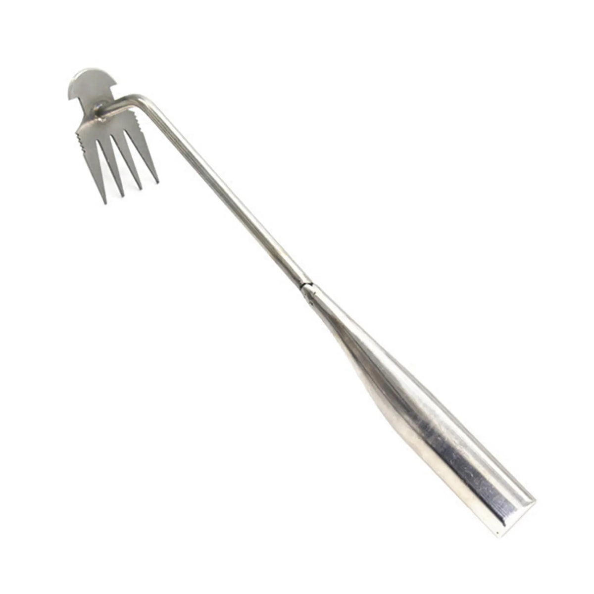 Stainless steel hand tool with prongs for deep root weed removal