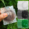 A hand holds a clear plastic plant propagation cutting ball with a white, black, and green top, attached to a plant stem.