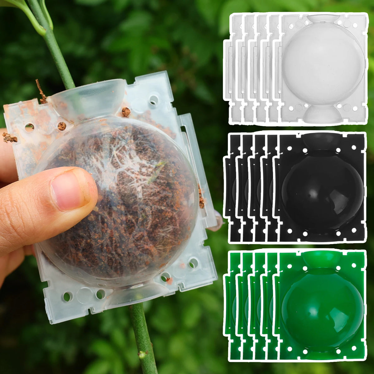 A hand holds a clear plastic plant propagation cutting ball with a white, black, and green top, attached to a plant stem.